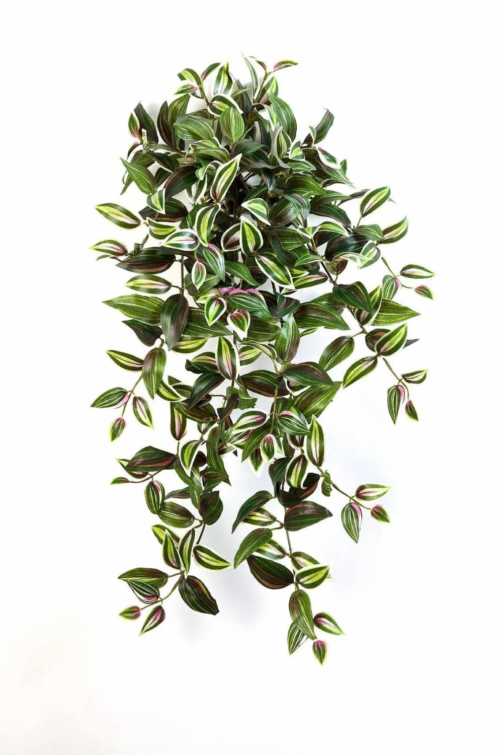 Tradescantia | Artificial Tradescantia Zebrina Pancho, Spike, Green-Purple, 28"/70Cm Artificial Plants Green