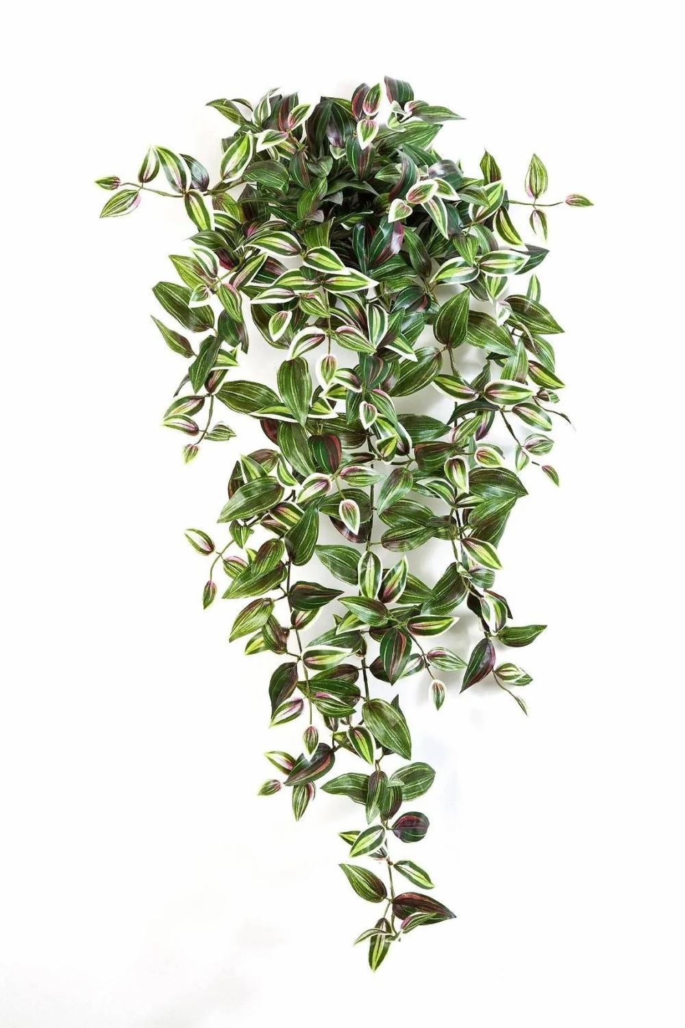 Tradescantia | Artificial Tradescantia Zebrina Pancho, Spike, Green-Purple, 3Ft/95Cm Artificial Plants Green