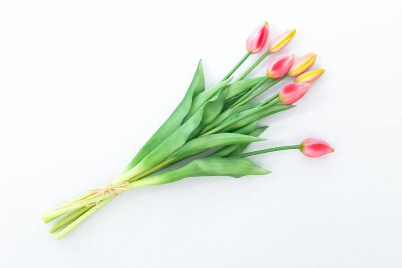 Tulip | Artificial Tulip Bouquet Lona, Light Pink-Green, 18"/45Cm, Ø8"/20Cm Artificial Flowers Rose