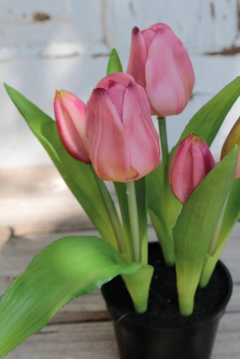 Tulip | Artificial Tulip Caitlyn In Decorative Pot, Lilac-Green, 10"/25Cm, Ø0.8"-2.4"/2-6Cm Artificial Flowers Purple