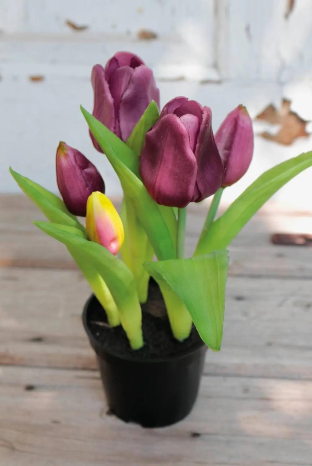 Tulip | Artificial Tulip Caitlyn In Decorative Pot, Purple-Green, 10"/25Cm, Ø0.8"-2.4"/2-6Cm Artificial Flowers Purple