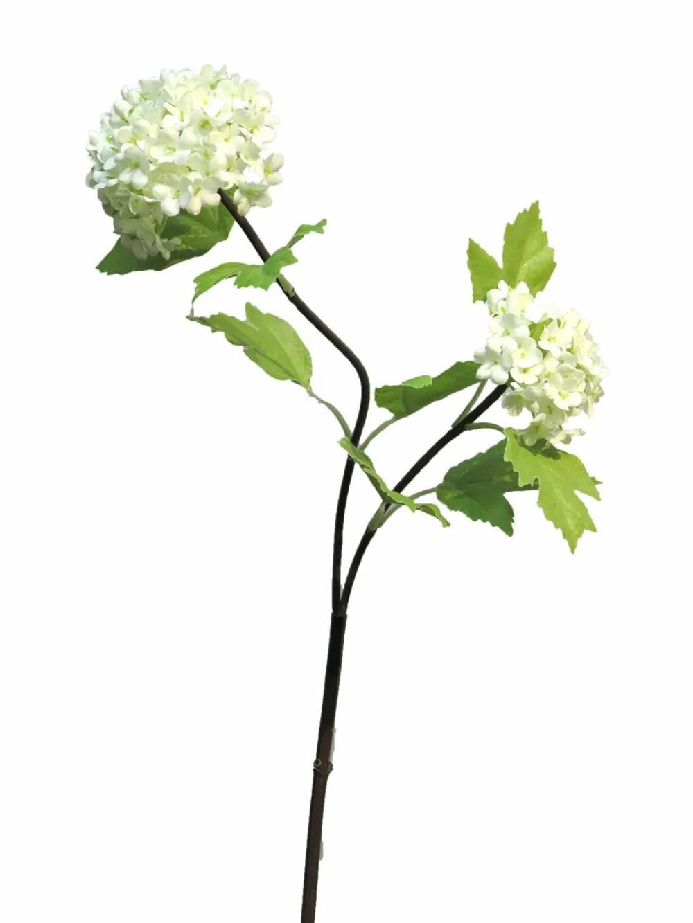 Viburnum opulus | Decorative Viburnum Branch Aluo, Cream, 20"/50Cm Artificial Flowers Viburnum opulus