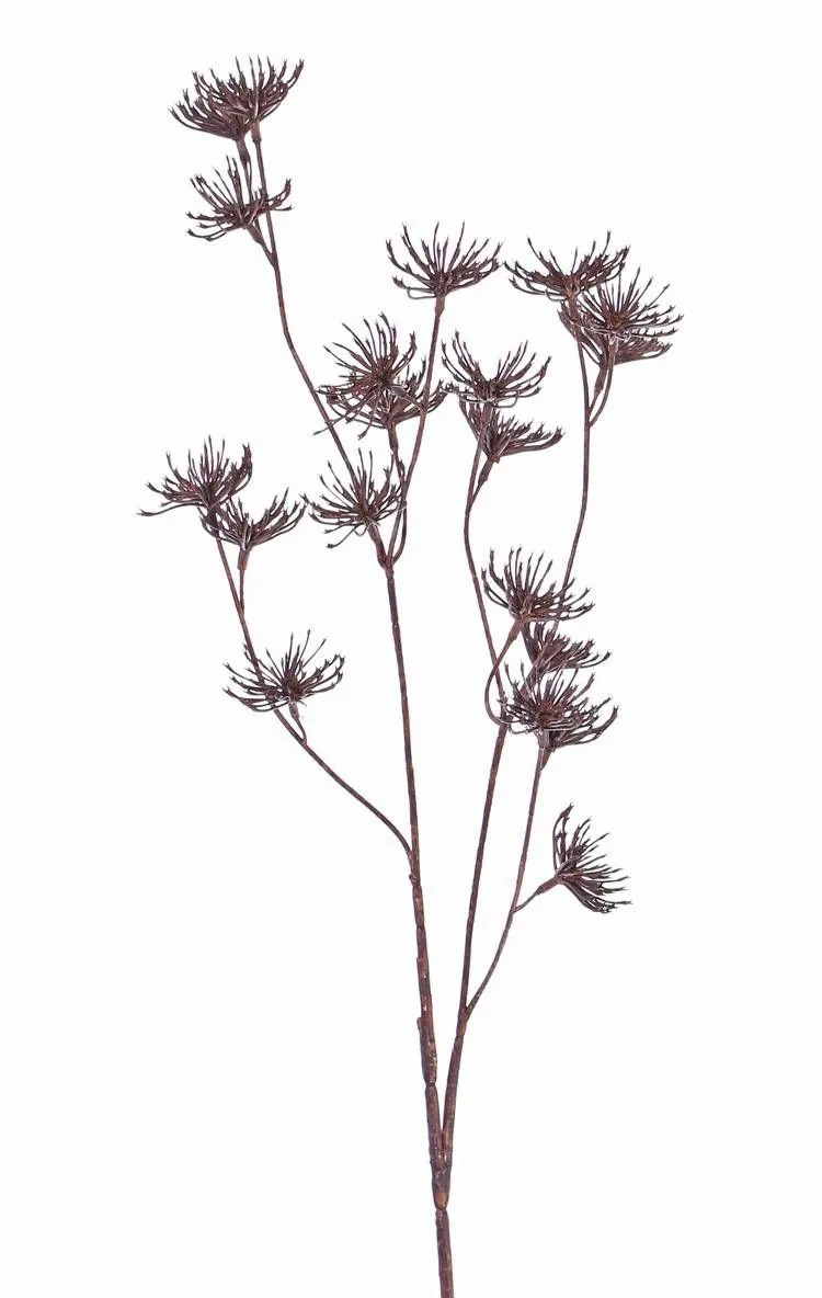 Wild carrot | Artificial Wild Carrot Dorian, Brown, 26"/65Cm, Ø1.6"/4Cm Artificial Flowers Brown