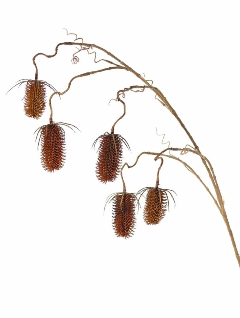 Wild teasel | Artificial Wild Teasel Lorcan, Brown-Red, 4Ft/120Cm, Ø2.4"-3.1"/6-8Cm Artificial Flowers Brown