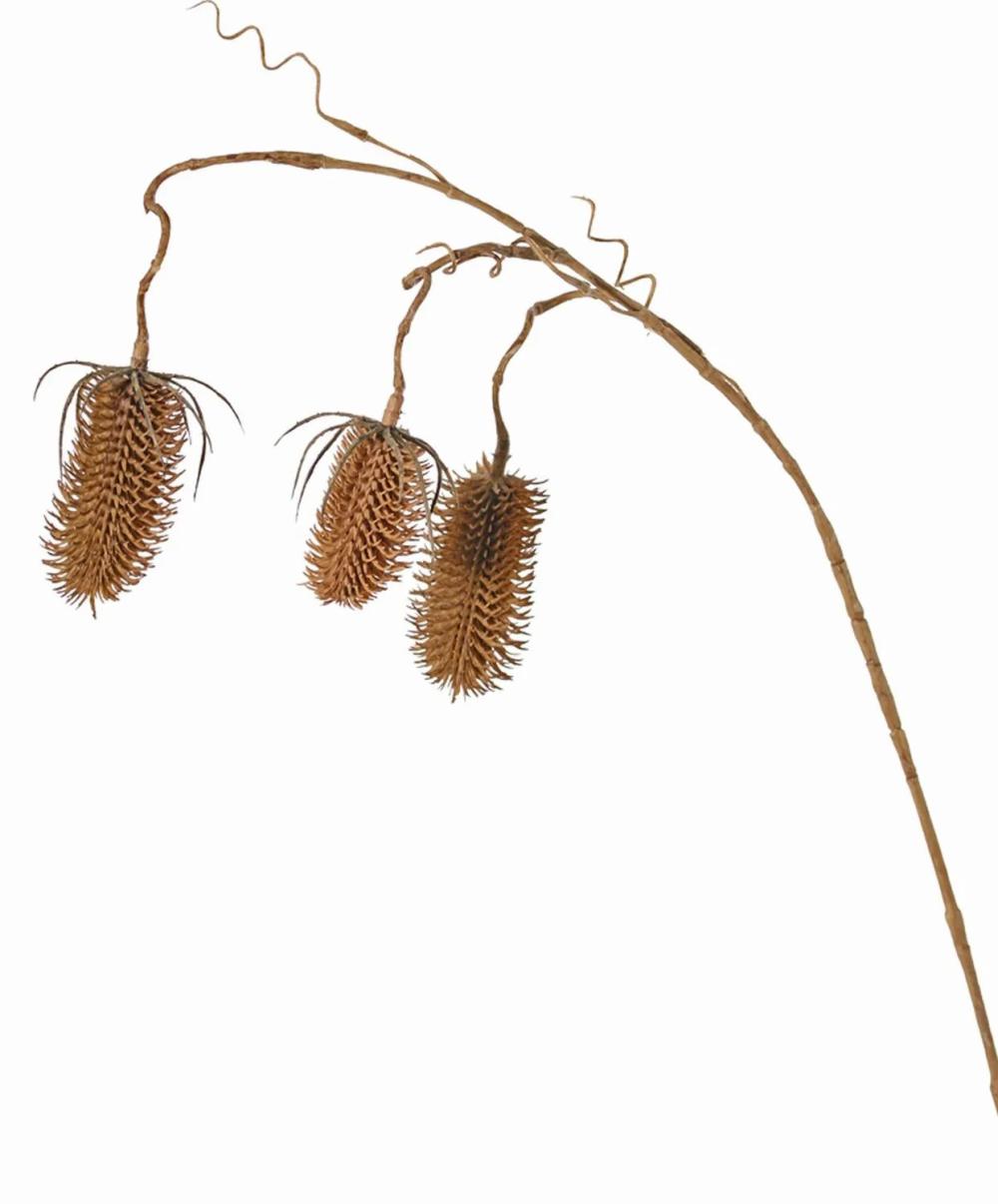 Wild teasel | Artificial Wild Teasel Lorcan, Light Brown, 3Ft/90Cm, Ø2.4"-3.1"/6-8Cm Artificial Flowers Brown