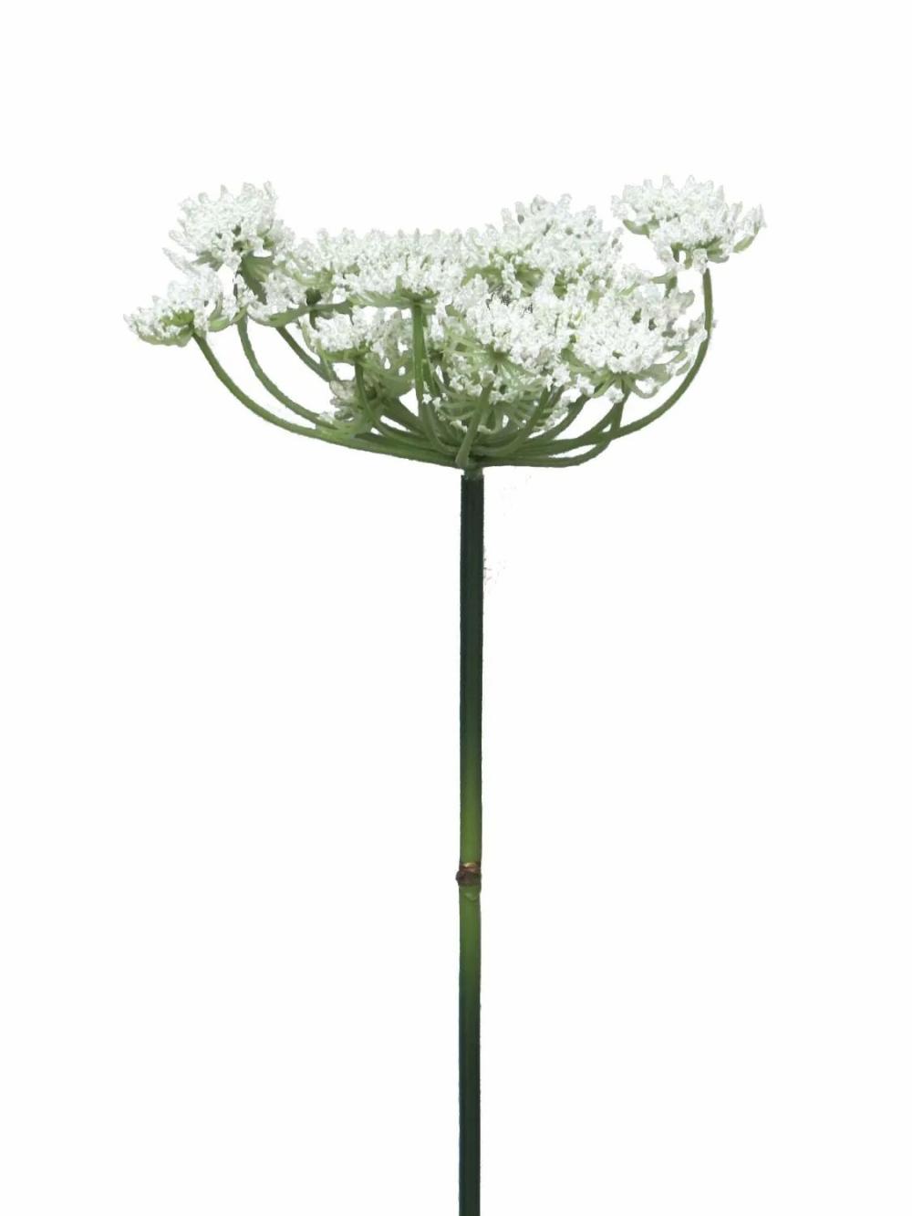 Yarrow | Artificial Achillea Xiaoya, White, 28"/70Cm Artificial Flowers White