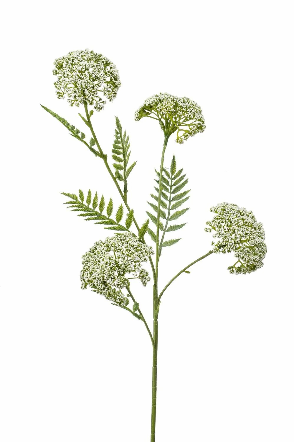 Yarrow | Artificial Yarrow Thuban, Cream, 24"/60 Cm Artificial Flowers White