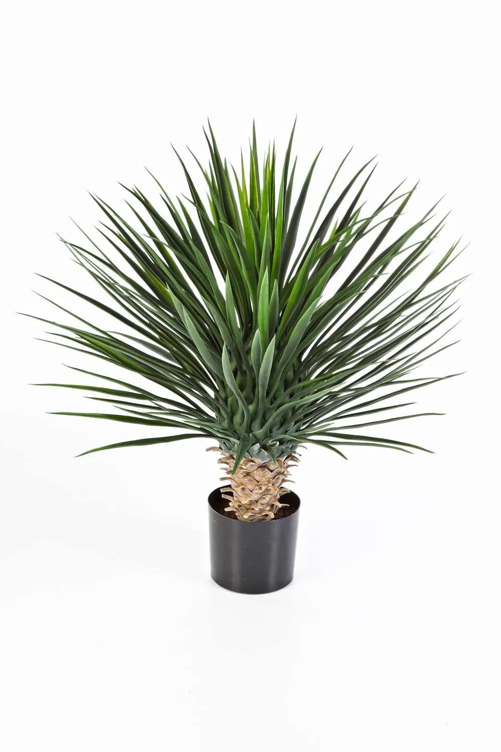 Yucca palm | Artificial Bushy Yucca Rostrata Raffaela, 31"/80Cm Artificial Palms Green