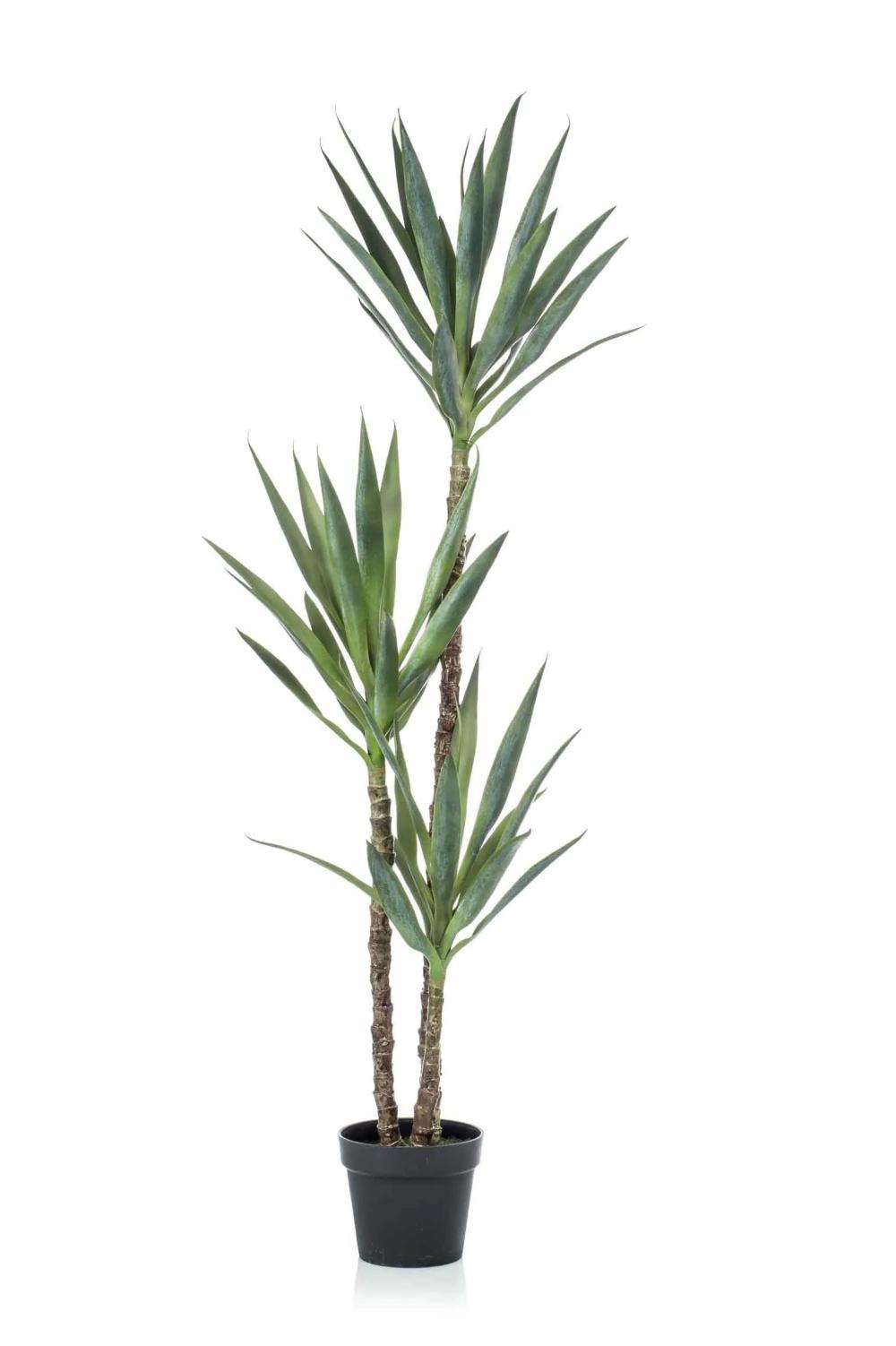 Yucca palm | Artificial Yucca Fronteira, 5Ft/150Cm Artificial Palms Green