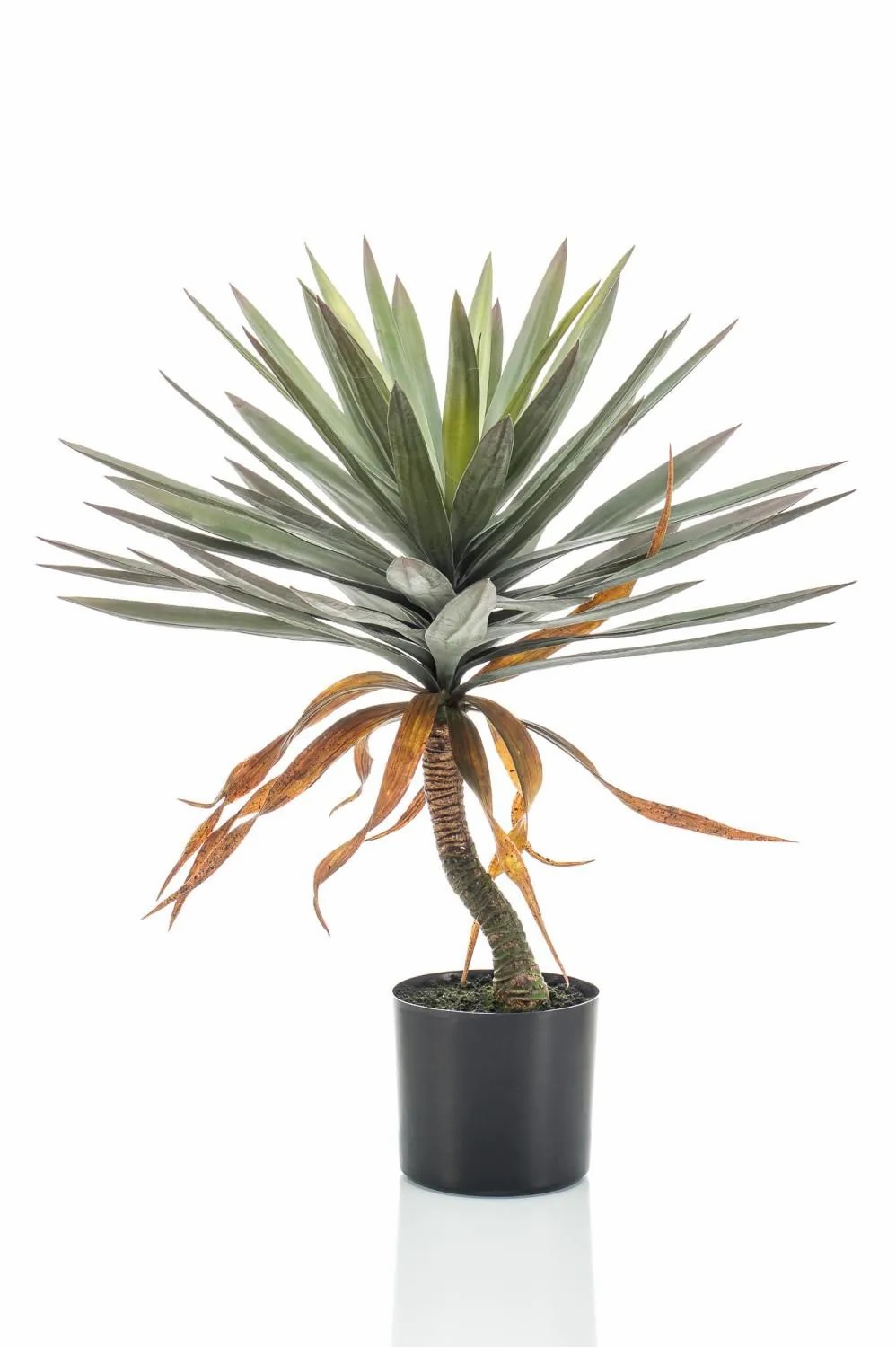 Yucca palm | Artificial Yucca Kouki, 30"/75Cm Artificial Palms Green