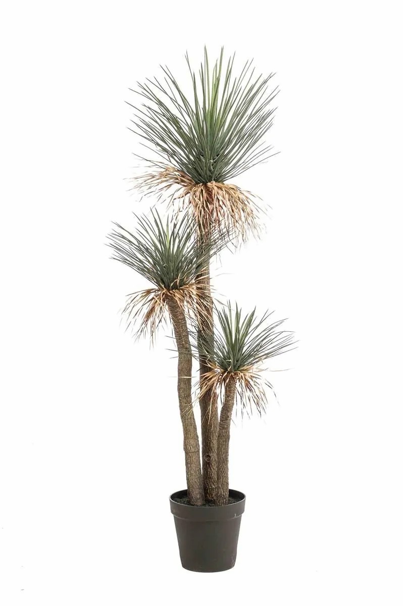 Yucca palm | Artificial Yucca Rostrata Denali In Decorative Pot, 6Ft/180Cm Artificial Palms Green