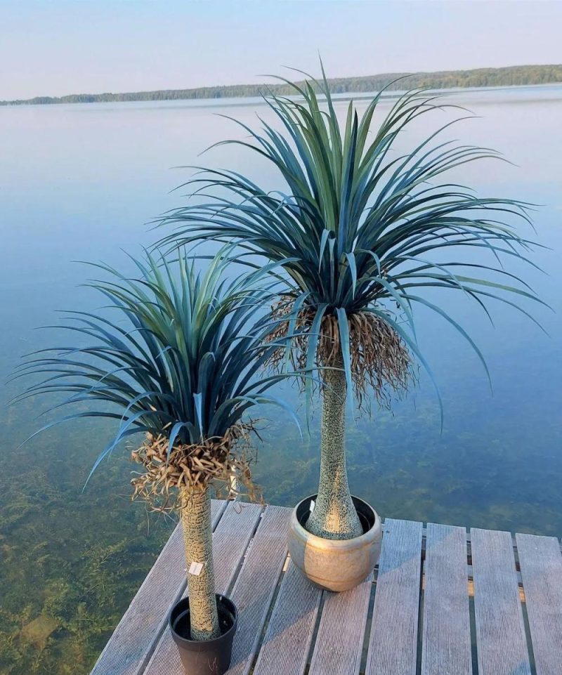 Yucca palm | Artificial Yucca Rostrata Hardin, Decorative Pot, 4Ft/120Cm Artificial Palms Green