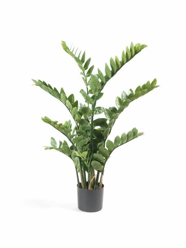 Zamioculcas | Artificial Plant Zamioculcas Simano, 4Ft/110Cm Artificial Plants Green