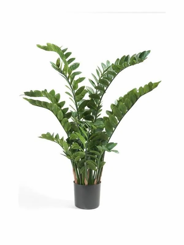 Zamioculcas | Artificial Plant Zamioculcas Simano, 4Ft/130Cm Artificial Plants Green