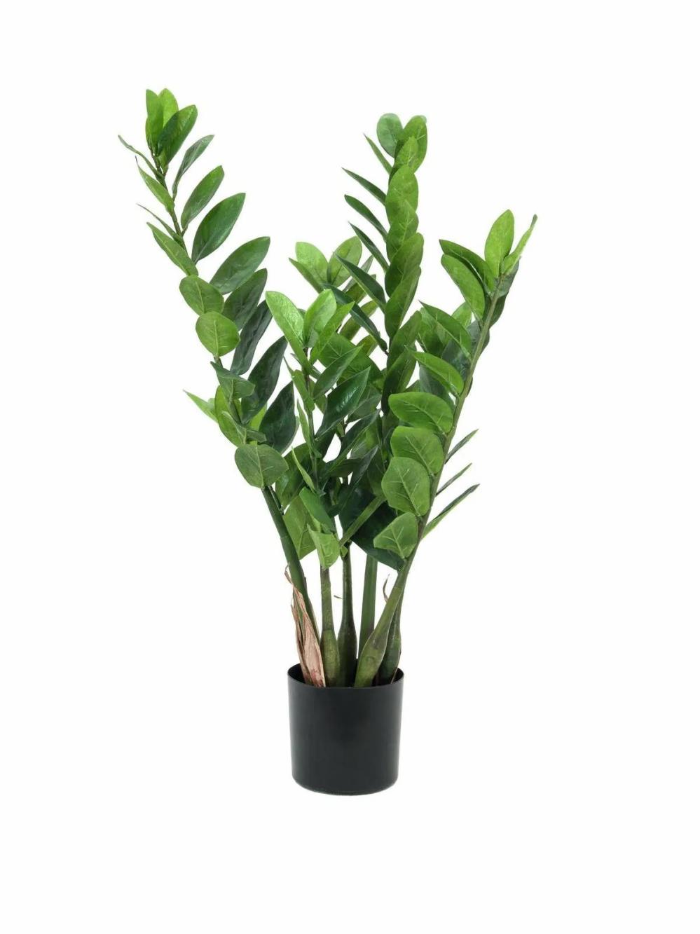 Zamioculcas | Artificial Zamioculcas Zamiifolia Akela, Green, 28"/70Cm Artificial Plants Green