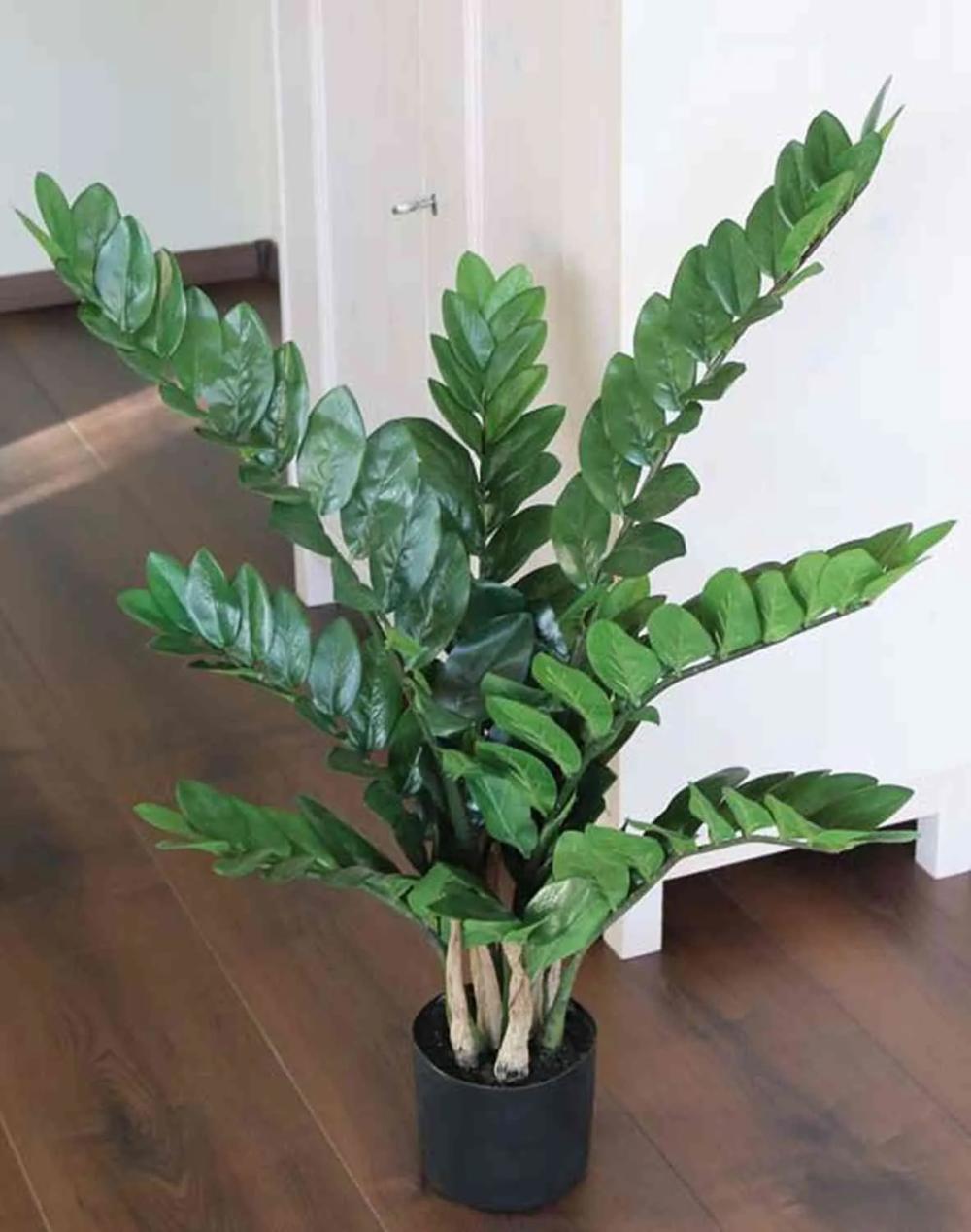 Zamioculcas | Artificial Zamioculcas Zamiifolia Janeya, 3Ft/90Cm Artificial Plants Green