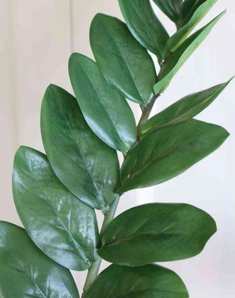 Zamioculcas | Artificial Zamioculcas Zamiifolia Janeya, 3Ft/90Cm Artificial Plants Green