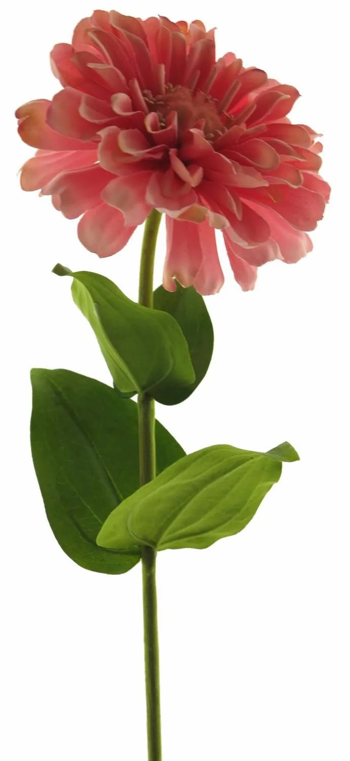 Zinnia | Artificial Zinnia Mianmo, Pink, 24"/60Cm Artificial Flowers Rose