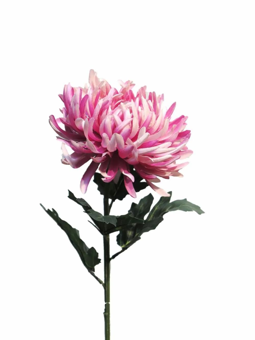 Chrysanthemum | Artificial Chrysanthemum Lingyun, Pink, 26"/65Cm Artificial Flowers Chrysanthemum