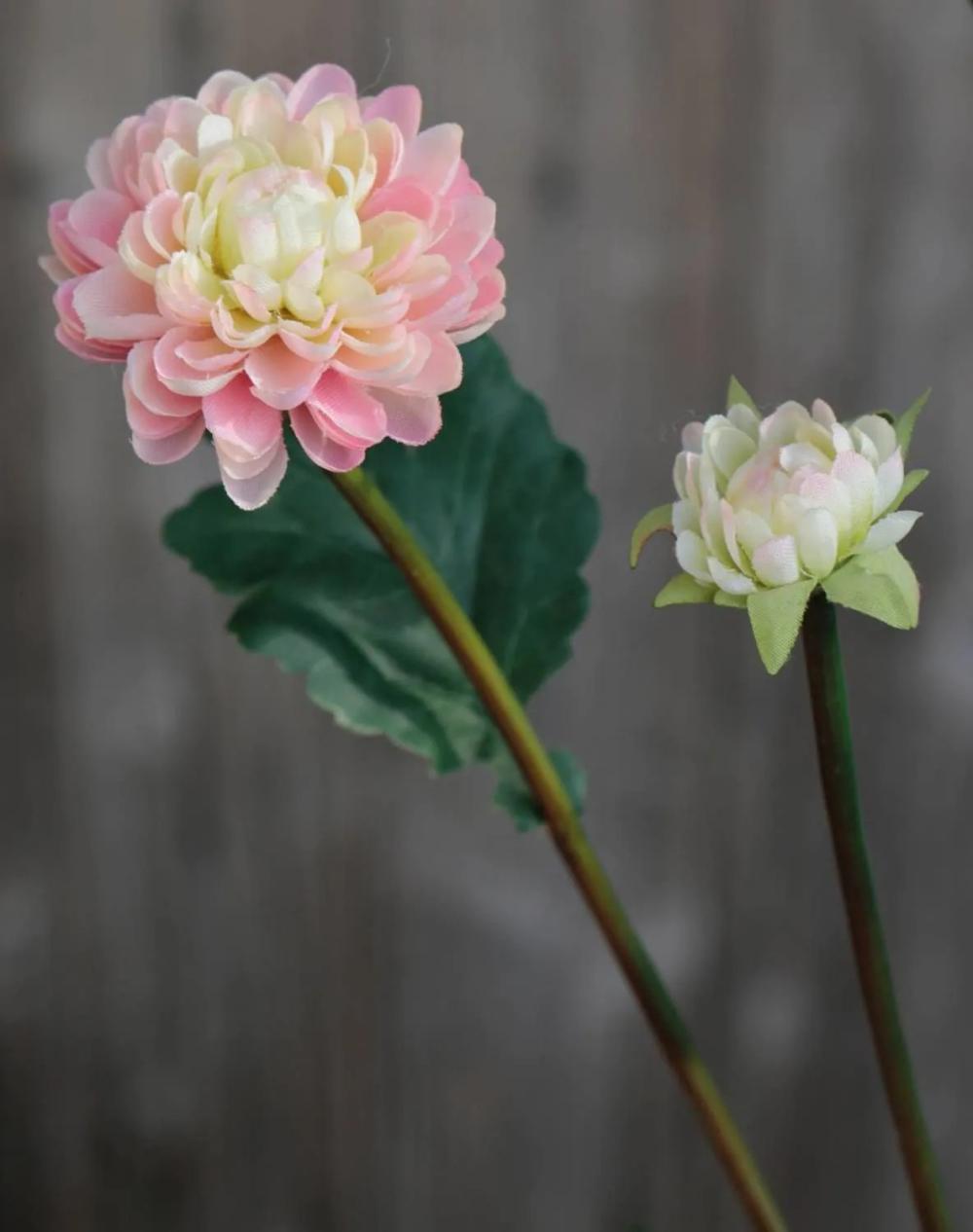 Chrysanthemum | Artificial Chrysanthemum Ryon, Pink-Cream, 28"/70Cm, Ø1.2"-2"/3-5Cm Artificial Flowers Chrysanthemum