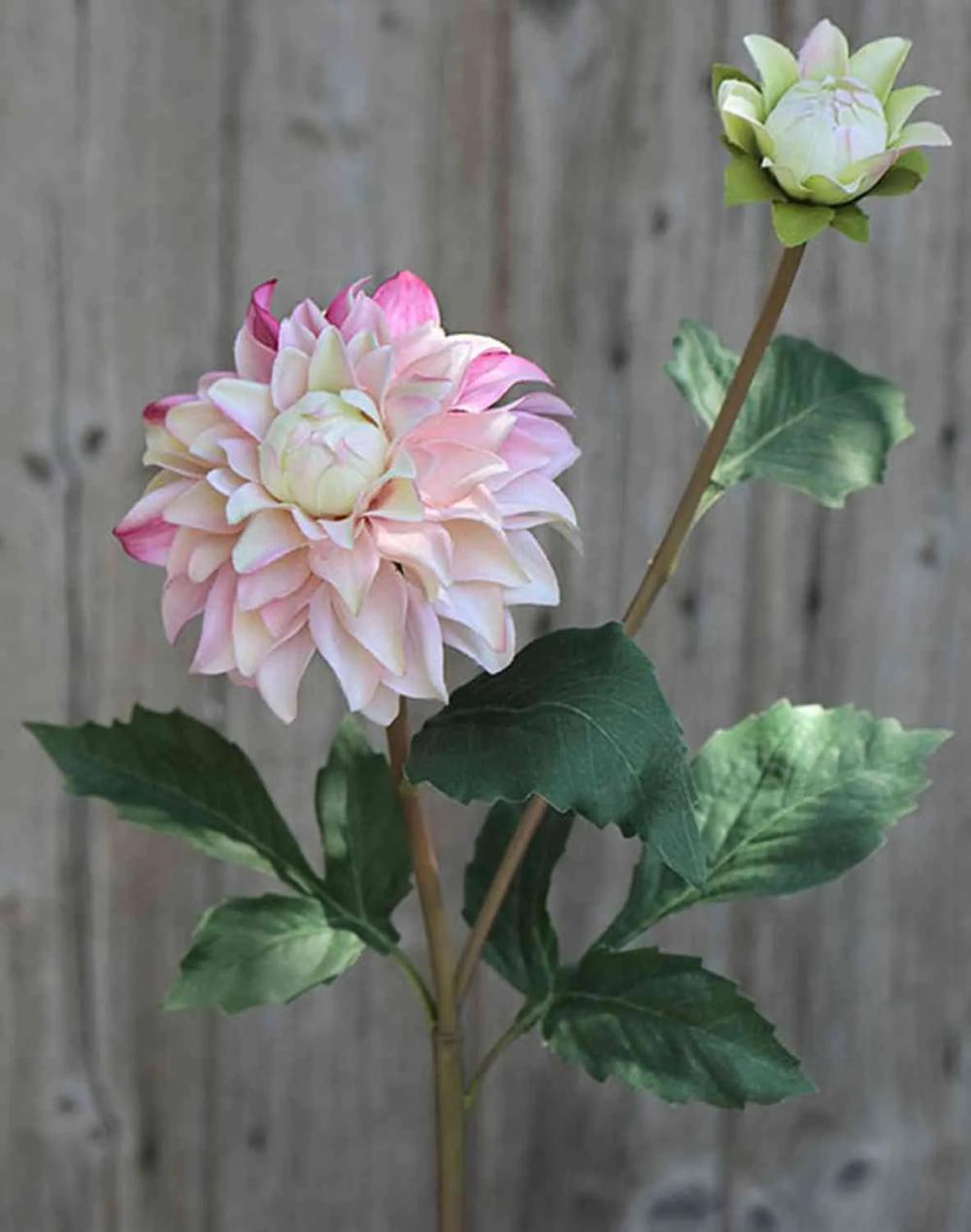 Dahlia | Fake Dahlia Patritzia, Light Pink-Pink, 22"/55Cm Artificial Flowers Dahlia