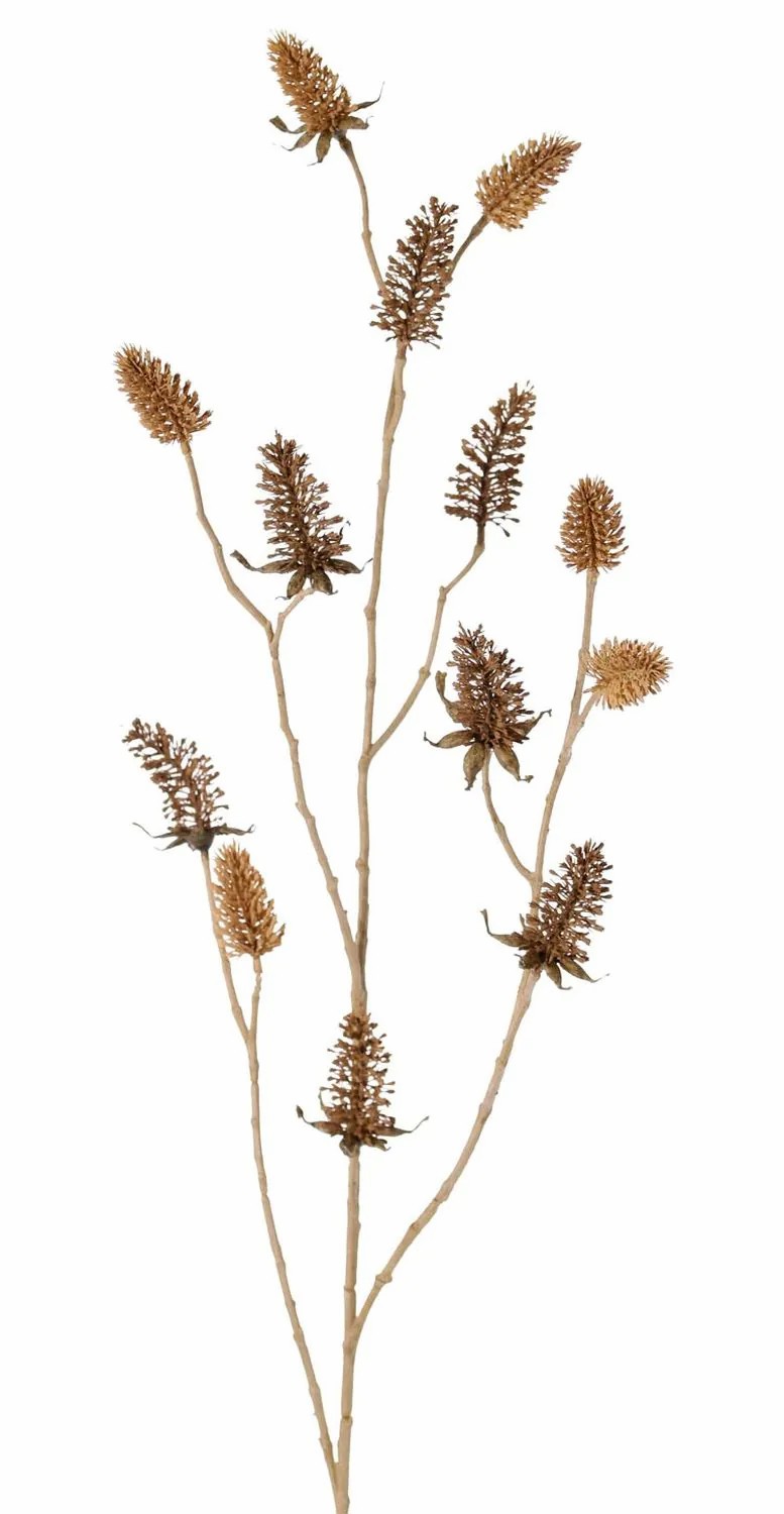 Eryngium | Artificial Thistle Umit, Brown, 3Ft/95Cm, Ø2"-2.6"/5-6,5Cm Artificial Flowers Brown