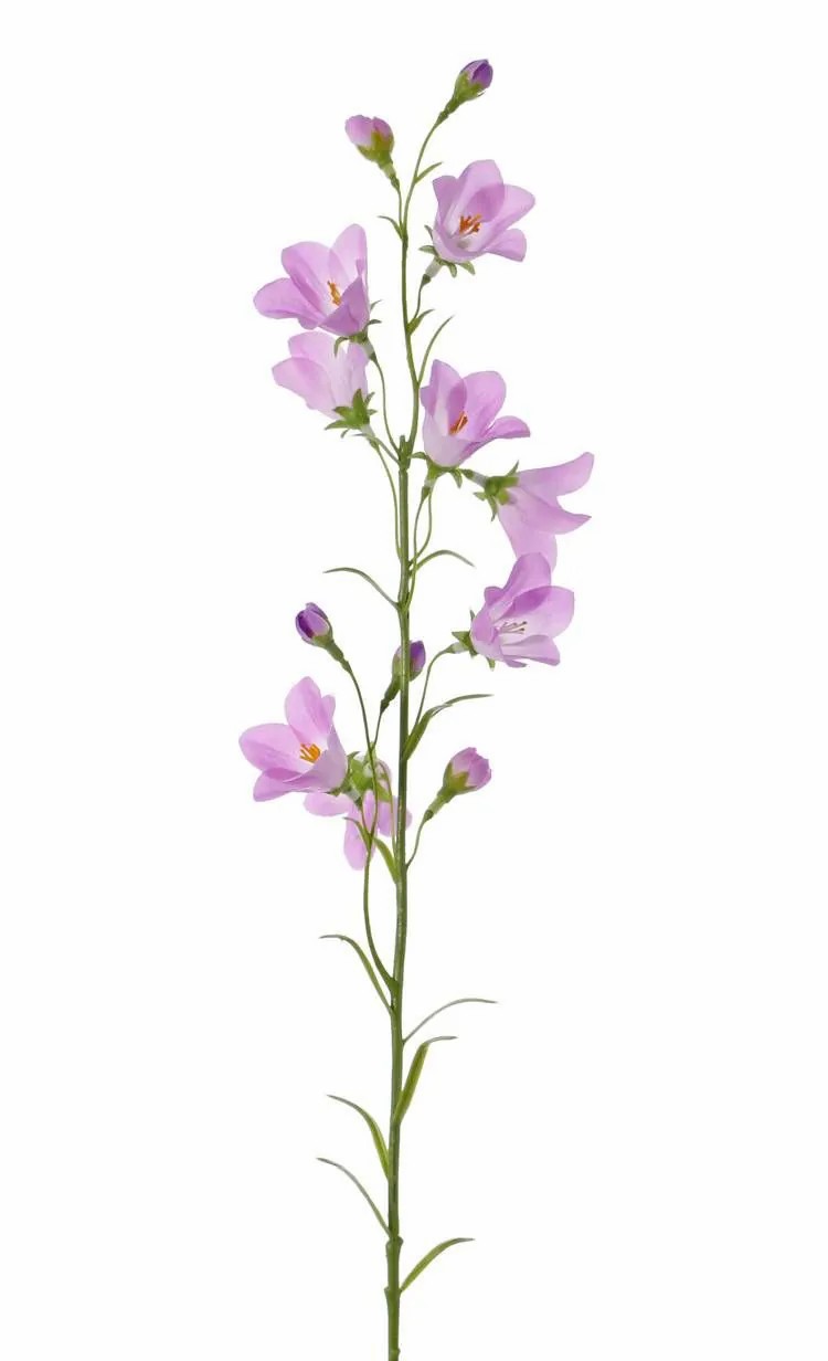 Bellflower | Artificial Bellflower Gisela, Violet, 26"/65Cm, Ø2"/5Cm Artificial Flowers Bellflower