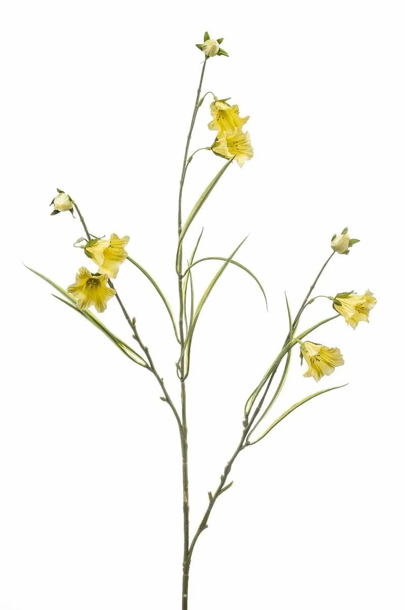 Bellflower | Artificial Bellflower Pheida, Light Yellow, 3Ft/95Cm Artificial Flowers Bellflower