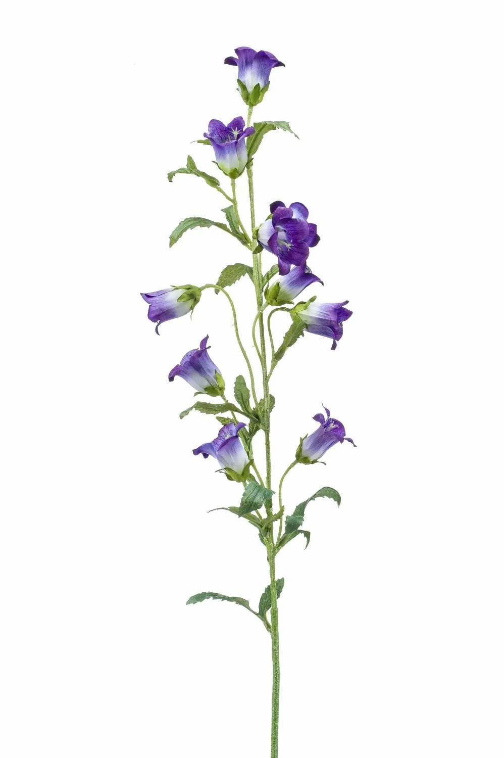 Bellflower | Silk Bellflower Aimi, Purple-Cream, 3Ft/90 Cm Artificial Flowers Bellflower