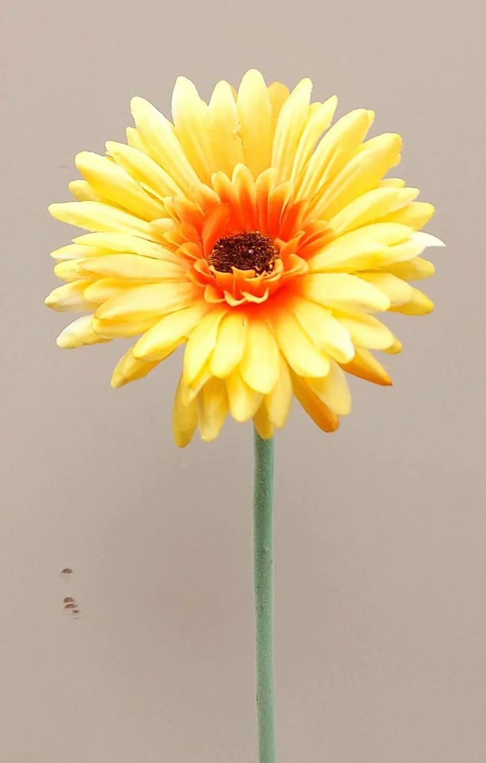 Gerbera | Artificial Gerbera Flower Teudelinde, Yellow, 22"/55Cm, Ø3.1"/8Cm Artificial Flowers Gerbera