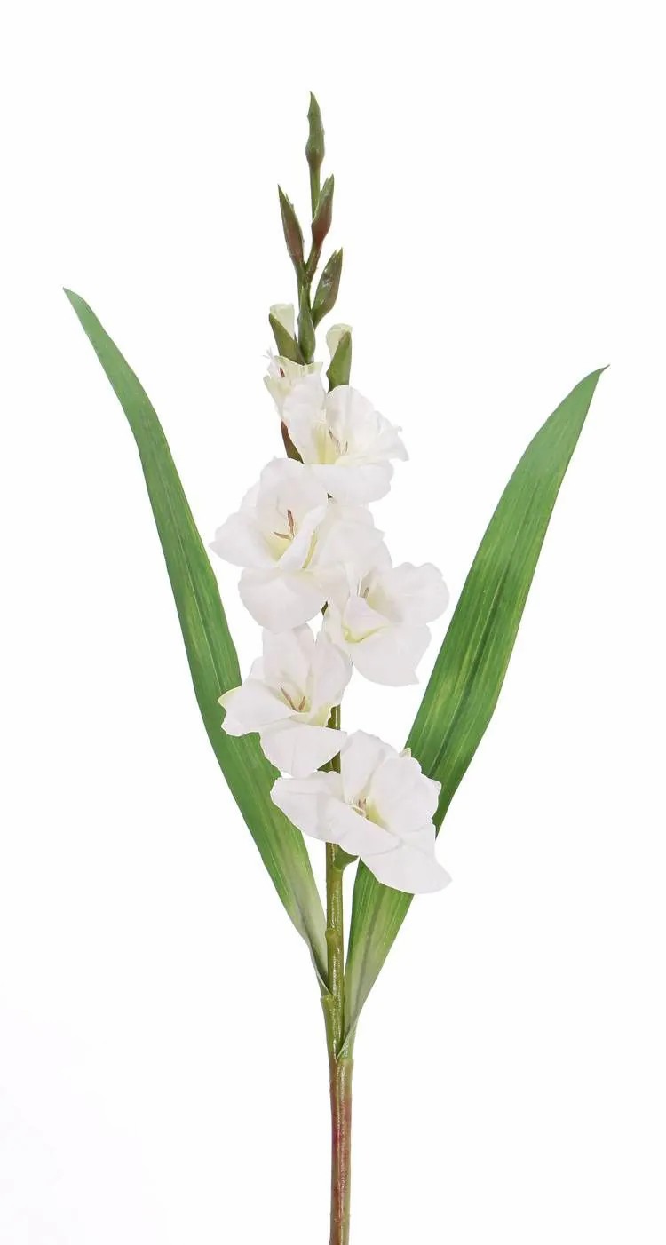 Gladiolus | Fake Gladiolus Elea, White, 33"/85Cm, Ø1.2"-4"/3-10Cm Artificial Flowers Gladiolus