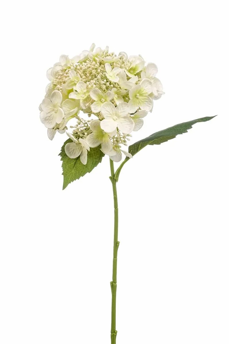 Hydrangea | Artificial Hydrangea Calesa, White, 20"/50Cm Artificial Flowers Hydrangea