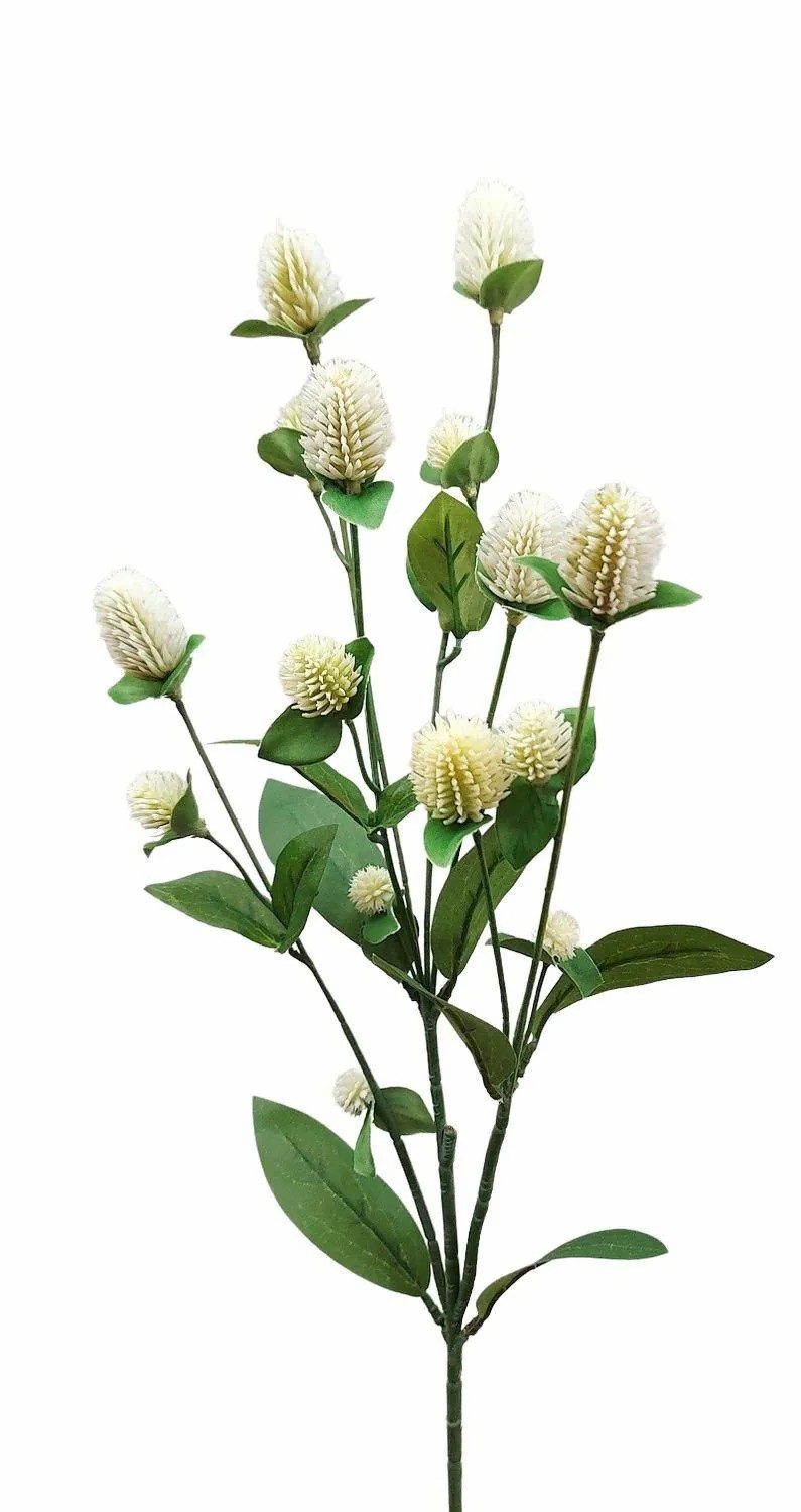 Globe amaranth | Decorative Flower Branch Globe Amaranth Thusnelda, Cream-White, 28"/70Cm Artificial Flowers Globe amaranth