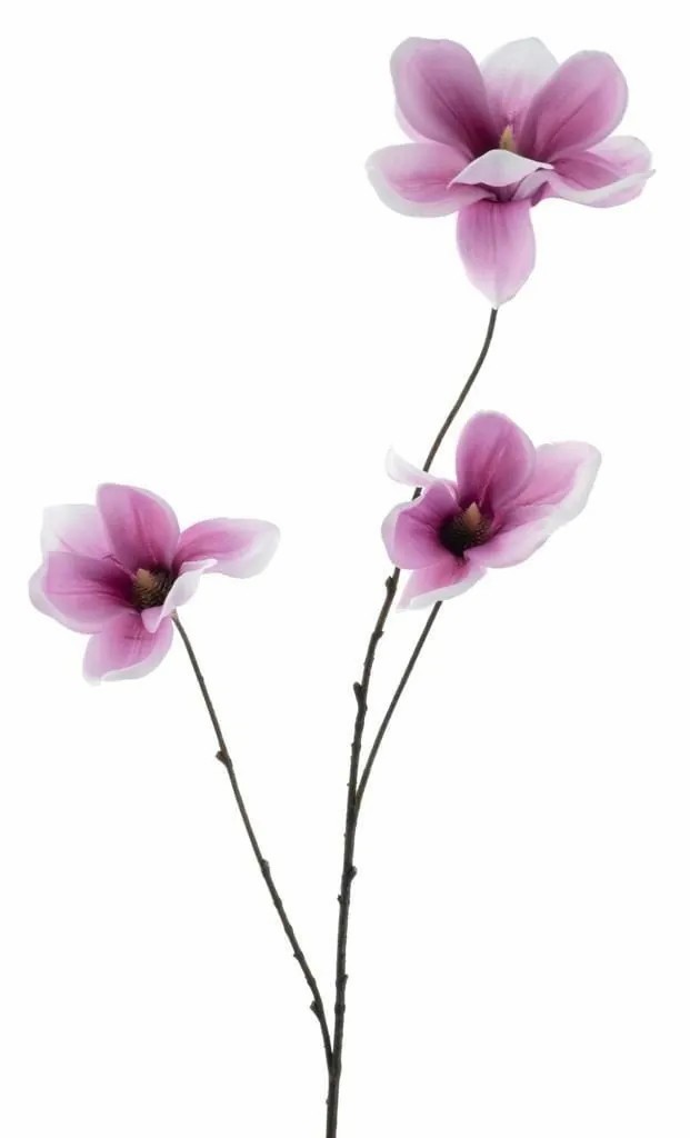 Magnolia | Artificial Branch Magnolia Flava, Dark Pink-White, 33"/85Cm Artificial Flowers Magnolia