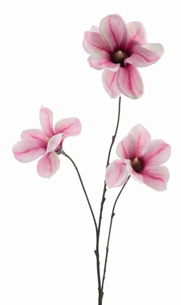 Magnolia | Artificial Branch Magnolia Flava, Fuchsia-White, 33"/85Cm Artificial Flowers Magnolia