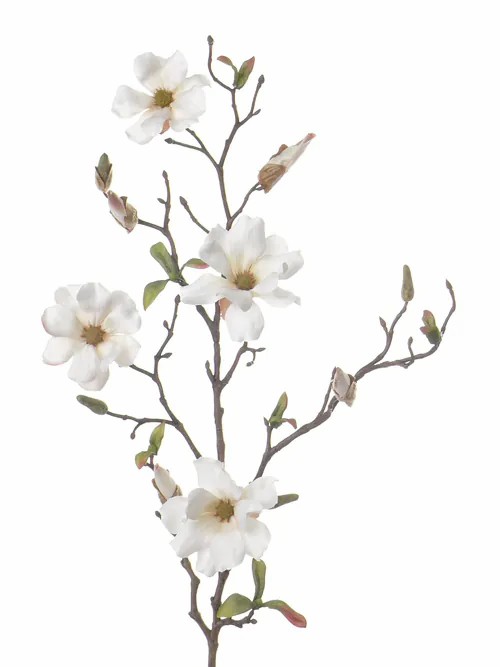 Magnolia | Artificial Magnolia Spray Marga, White, 31"/80Cm, Ø2.4"-3.1"/6-8Cm Artificial Flowers Magnolia