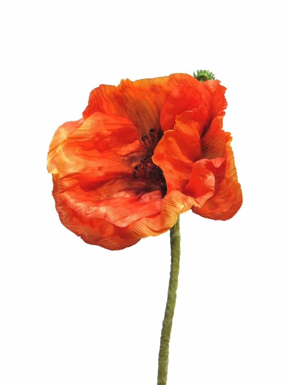 Poppies | Artificial Poppy Ankang, Orange, 28"/70Cm Artificial Flowers Orange