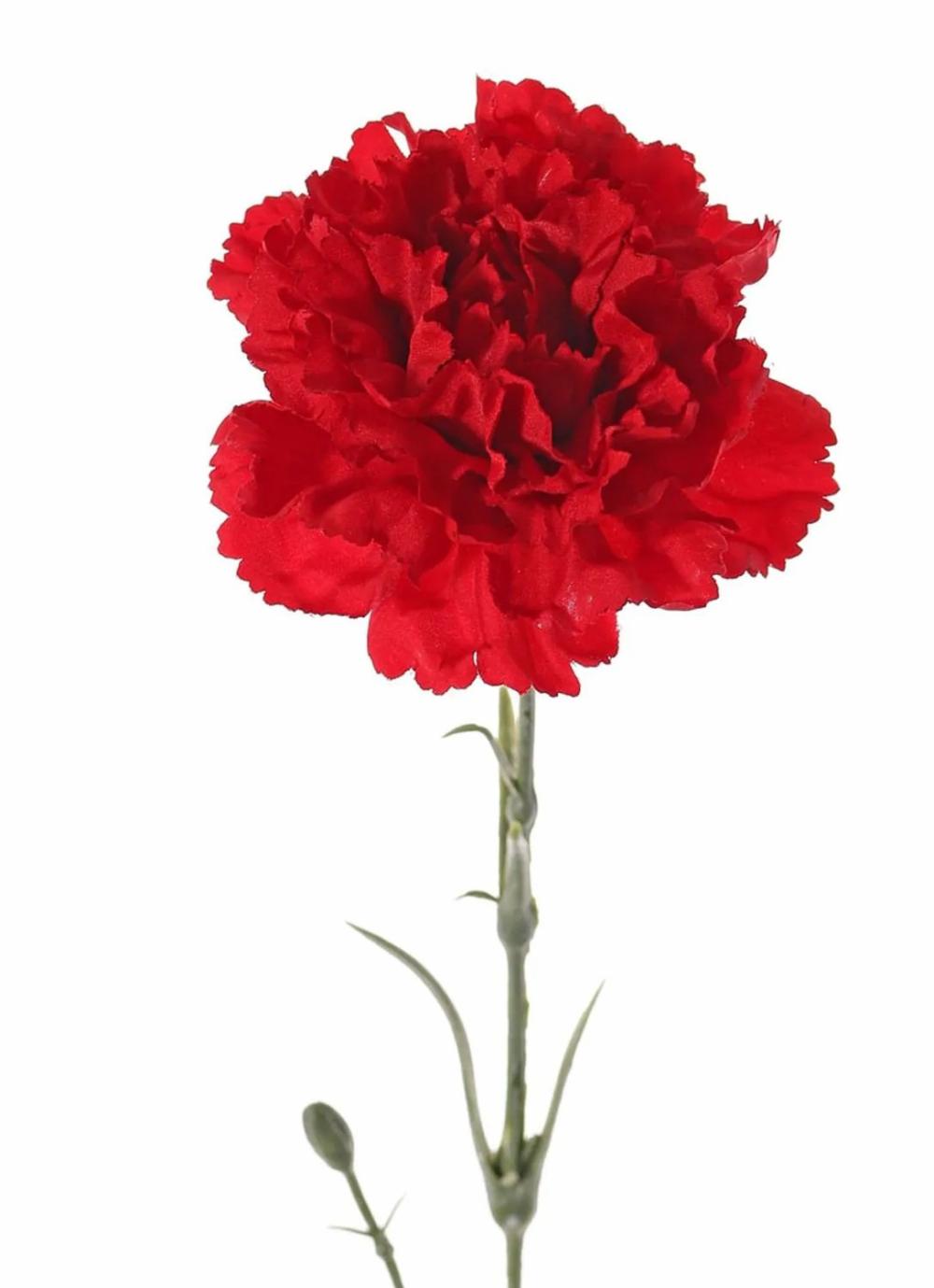 Carnation | Artificial Carnation Vanera, Red, 24"/60Cm, Ø3.1"/8Cm Artificial Flowers Carnation