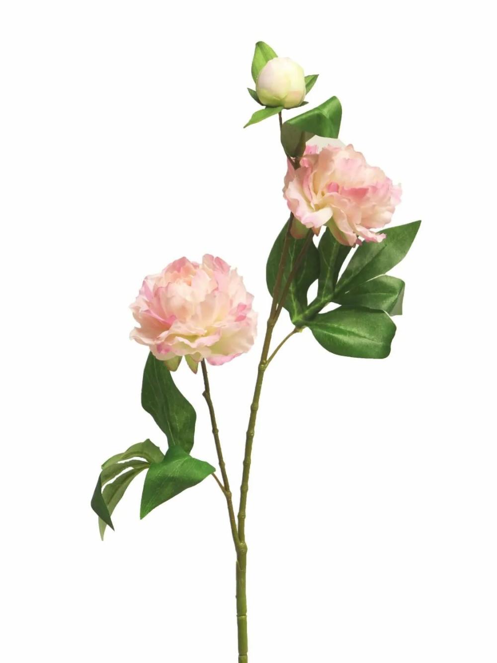 Peony | Artificial Peony Branch Yiling, Pink-White, 26"/65Cm Artificial Flowers Peony