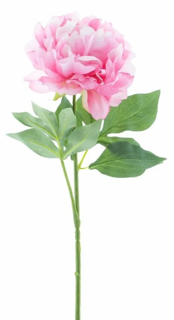 Peony | Decorative Flower Peony Cordoba, Pink, 22"/55Cm Artificial Flowers Peony