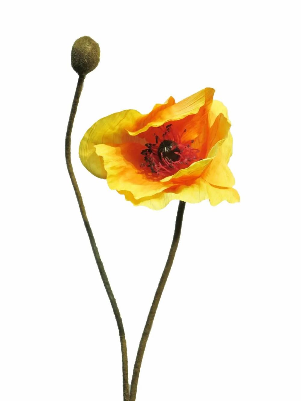 Poppies | Artificial Poppy Yilan, Orange-Yellow, 24"/60Cm Artificial Flowers Orange