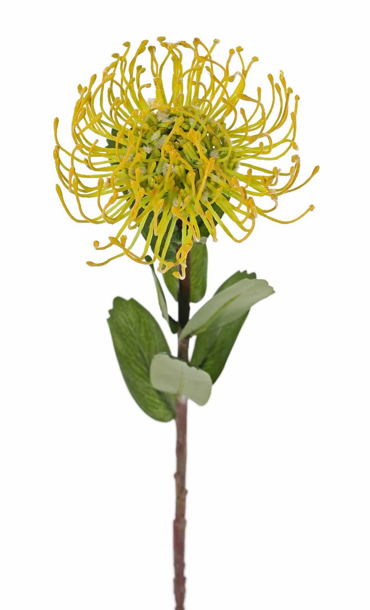 Protea | Artificial Protea Baily, Yellow, 20"/50Cm, Ø4.7"/12Cm Artificial Flowers Protea