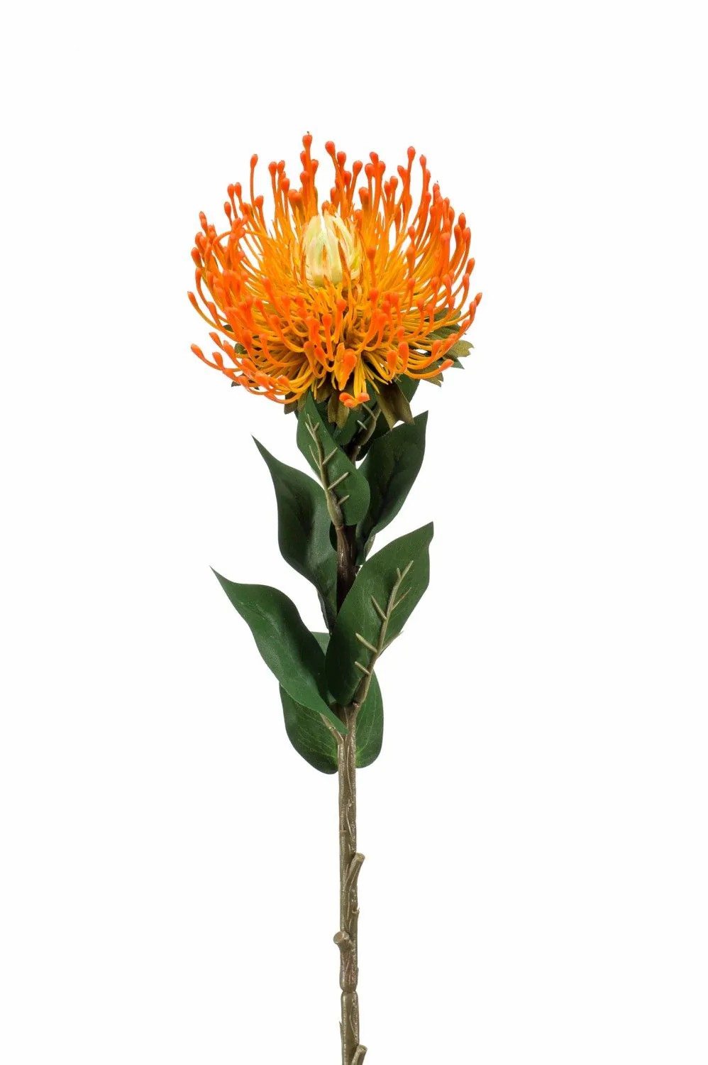 Protea | Artificial Protea Hervas, Orange, 28"/70Cm Artificial Flowers Orange