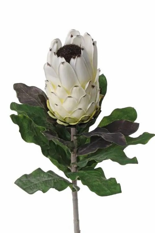 Protea | Artificial Protea Nelli, White-Yellow, 30"/75Cm, Ø3.1"/8Cm Artificial Flowers Protea